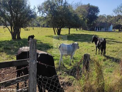 Stio para Venda, em Porangaba, bairro -, 2 dormitrios, 1 banheiro, 1 vaga