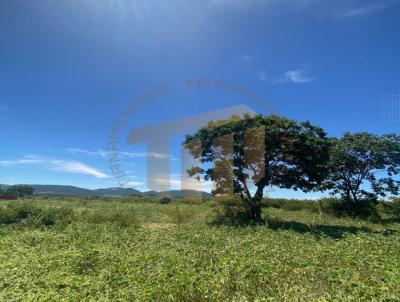 Terreno Rural para Venda, em Guanambi, bairro Zona Rural