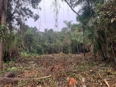 Terreno para Venda, em Itanham, bairro Luizamar Mirim