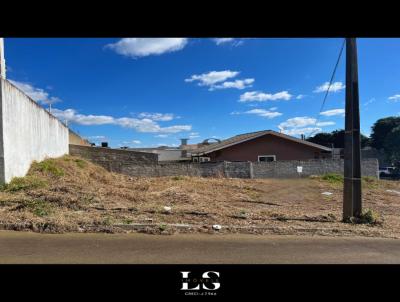 Terreno para Venda, em Guarapuava, bairro Boqueiro