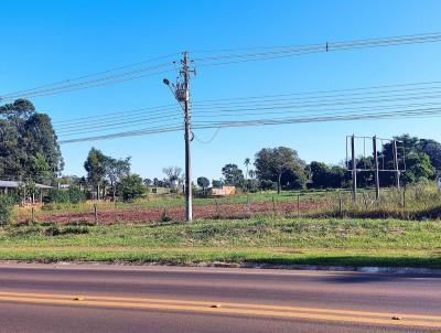 Terreno para Venda, em Amambaí, bairro 