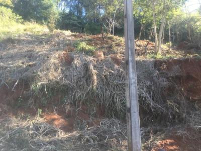 Terreno para Venda, em , bairro So Miguel