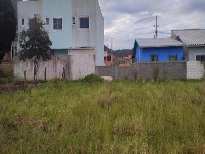 Terreno para Venda, em Florianpolis, bairro Rio Vermelho