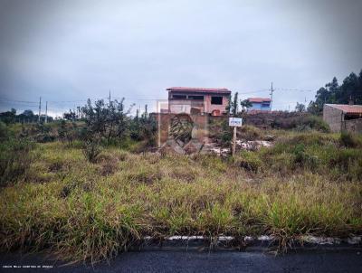 Terreno para Venda, em Jaguariava, bairro USINA VELHA