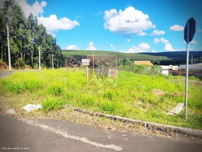 Terreno para Venda, em Jaguariava, bairro USINA VELHA