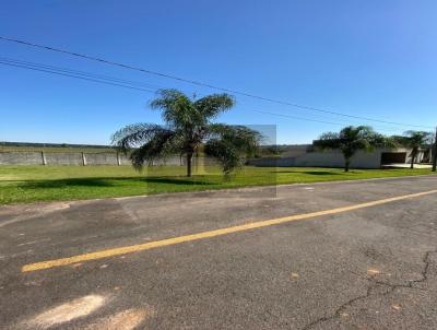 Terreno para Venda, em Estiva Gerbi, bairro Residencial Palm Park