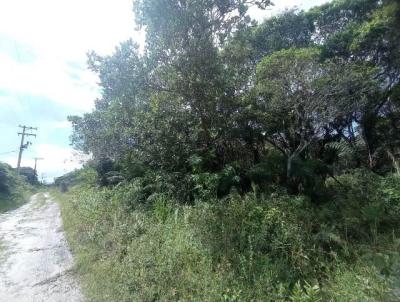 Terreno para Venda, em Itanham, bairro Maramba 1