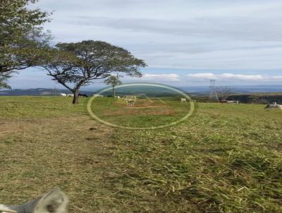 Fazenda para Venda, em Reserva, bairro .