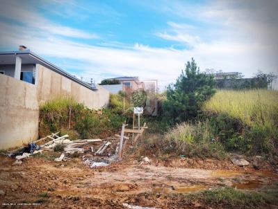 Terreno para Venda, em Jaguariava, bairro BELVEDERE