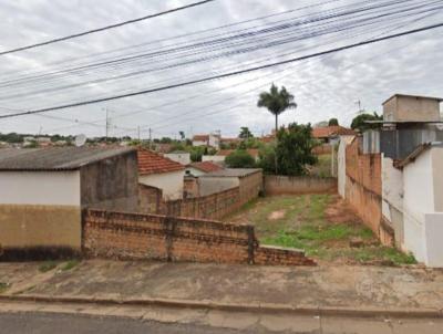 Terreno para Venda, em Lins, bairro Vila Ramalho