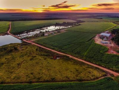 Fazenda para Venda, em Nortelndia, bairro Rural