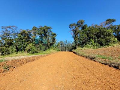 Lote para Venda, em Nova Veneza, bairro Caravaggio