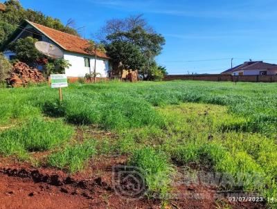 Terreno para Venda, em So Martinho, bairro 