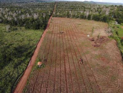 Fazenda para Venda, em Campo Verde, bairro Rural