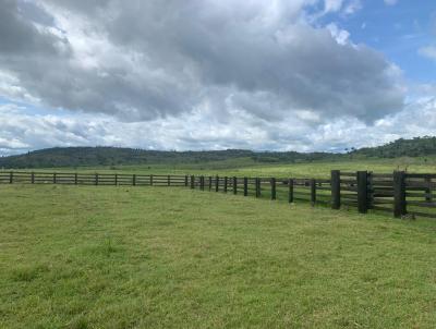 Fazenda para Venda, em Alta Floresta, bairro Rural