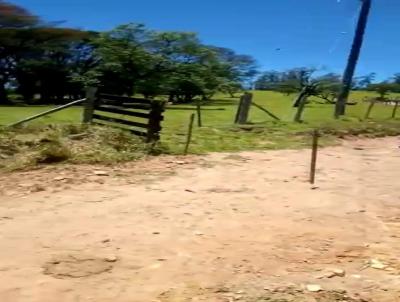 Fazenda para Venda, em Piedade, bairro Rural