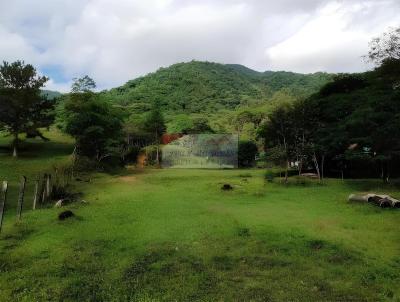 Stio para Venda, em Joinville, bairro Vila Nova, 4 dormitrios, 3 banheiros, 6 vagas