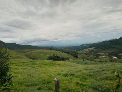 Stio para Venda, em Ibirama, bairro Rafael alto