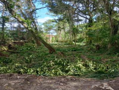 Terreno para Venda, em Itanham, bairro Suaro