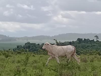 Fazenda para Venda, em Marcelndia, bairro Rural