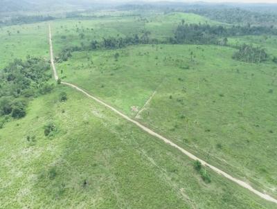 Fazenda para Venda, em Novo Progresso, bairro Alameda das Cores