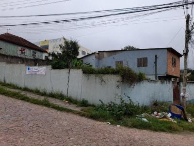 Terreno para Venda, em Viamo, bairro Santa Isabel