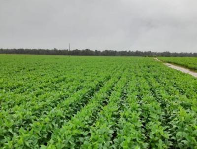 Stio para Venda, em Unio do Sul, bairro Rural