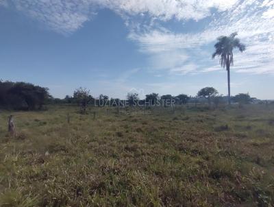 rea para Venda, em Porto, bairro Rural
