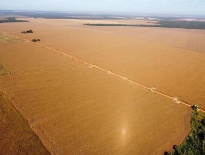 Fazenda para Venda, em Tapurah, bairro Rural