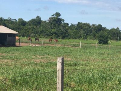 Fazenda para Venda, em Matup, bairro Rural