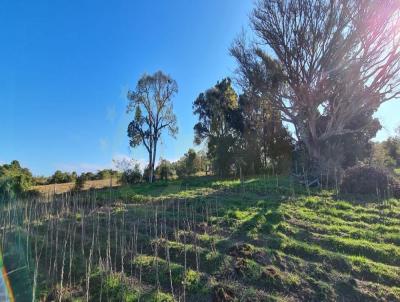 rea Rural para Venda, em Camaqu, bairro Monte Castelo