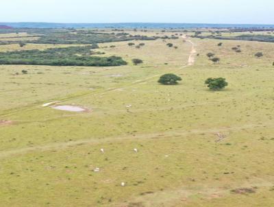 Fazenda para Venda, em Tesouro, bairro Alameda das Cores