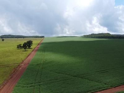 Fazenda para Venda, em Primavera do Leste, bairro Rural