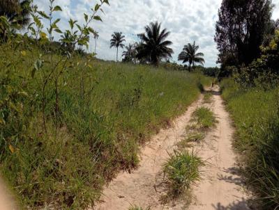 Fazenda para Venda, em Sinop, bairro Alameda das Cores