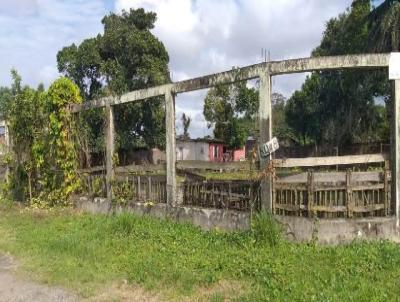 Terreno para Venda, em Perube, bairro Armando Cunha