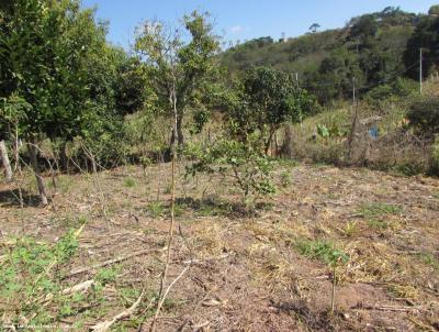 Terreno Rural para Venda, em Santa Branca, bairro SANTA TERESA