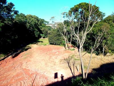 Terreno Rural para Venda, em Castro, bairro SANTA CLARA