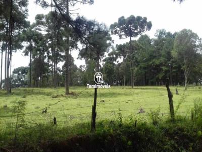 Terreno para Venda, em Mafra, bairro Campo da Lana