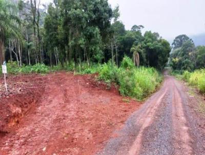 Stio / Chcara para Venda, em Nova Petrpolis, bairro Linha Olinda