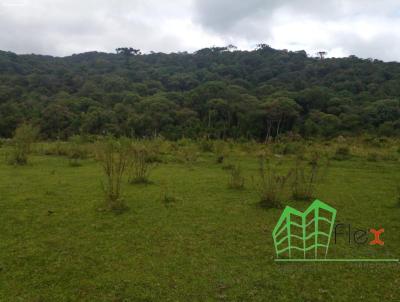 Chcara para Venda, em So Jos dos Pinhais, bairro Ip