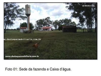 Fazenda para Venda, em So Desidrio, bairro Zona Rural