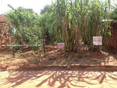 Terreno para Venda, em Presidente Bernardes, bairro Vila Nova