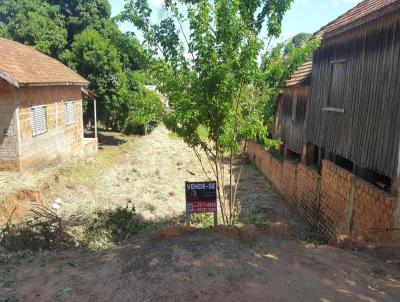 Terreno para Venda, em Santo Anastcio, bairro Vila Barbeiro