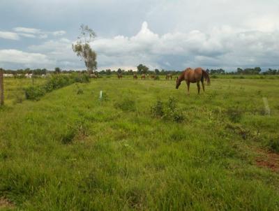 Fazenda para Venda, em Campo Grande, bairro Zona Rural