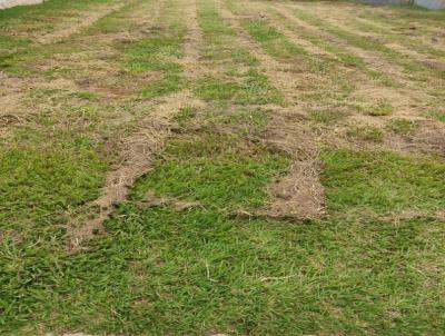 Terreno para Venda, em lvares Machado, bairro Residencial Valencia