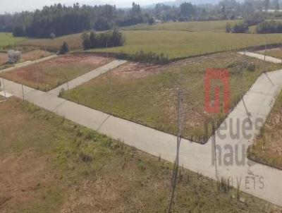 Terreno para Venda, em Vera Cruz, bairro NENHUM