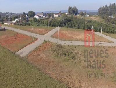 Terreno para Venda, em Vera Cruz, bairro NENHUM