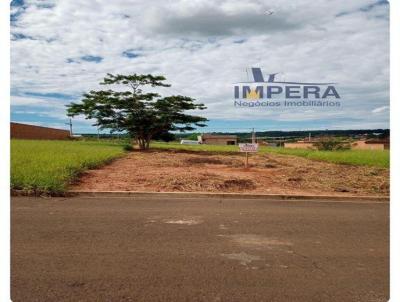 imagem-miniatura
