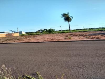 Terreno para Venda, em Presidente Epitcio, bairro Jardim Aeroporto