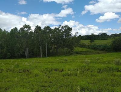 Chcara para Venda, em Alfredo Marcondes, bairro Rural